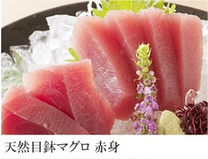天然目鉢まぐろ 赤身,天然目鉢まぐろ,赤身,まぐろ